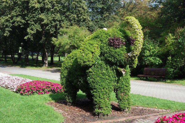 Kwiatowe rzeźby w Parku Śląskim. Jest ich coraz więcej
