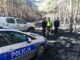 Wspólne patrole policjantów z Nowego Miasta nad Pilicą i funkcjonariuszy Straży Leśnej Nadleśnictwa Grójec. Mają fotopułapki i noktowizory