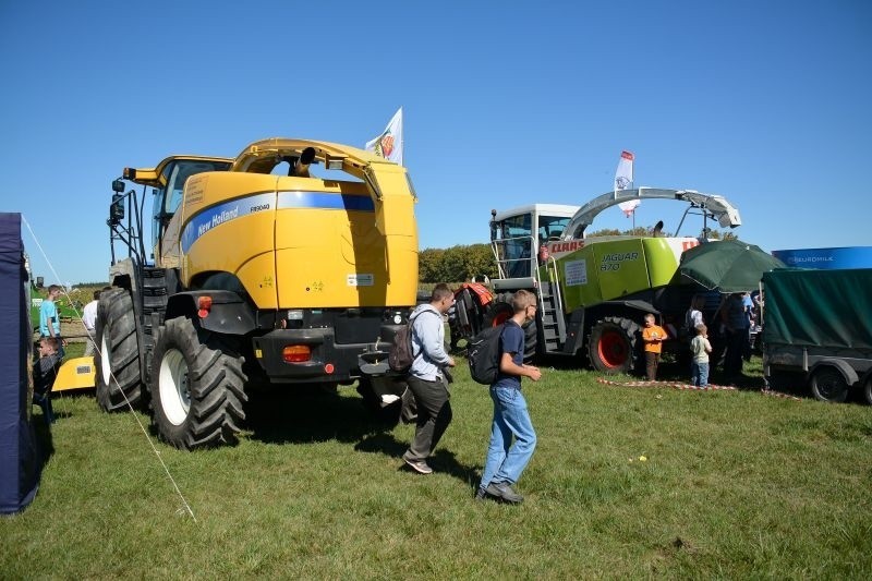 Podlaski Dzień Kukurydzy 2013 w Szepietowie. Wielkie show na polu. Najnowsze maszyny pokazały, co potrafią [ZDJĘCIA]