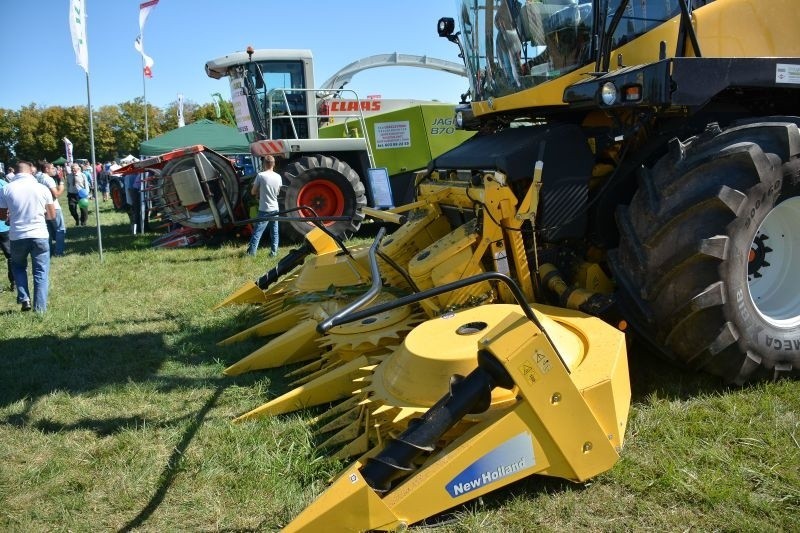 Podlaski Dzień Kukurydzy 2013 w Szepietowie. Wielkie show na polu. Najnowsze maszyny pokazały, co potrafią [ZDJĘCIA]