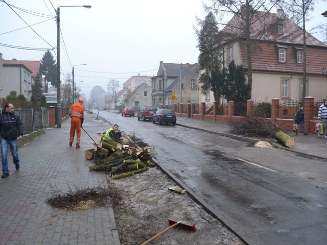 Część starych drzew wycięto na ul. Dworcowej tuż przed świętami