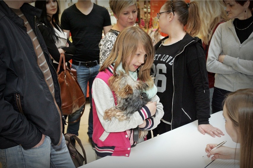 Wrocław: Setki psich piękności podczas festiwalu yorków (ZDJĘCIA)