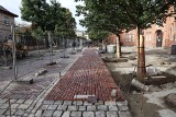 Kolorowo w centrum Poznania! Tak wygląda remontowana ulica na Jeżycach. Zobacz zdjęcia 