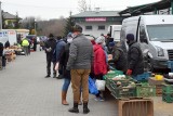 Targ w Opatowie w środę, 9 grudnia. Jakie ceny za owoce i warzywa? (ZDJĘCIA)