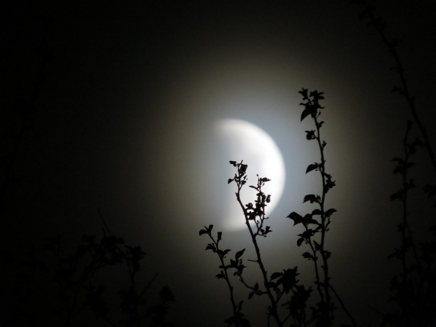 Zaćmienie Księżyca w lipcu 2019 r. Kiedy i gdzie oglądać?...