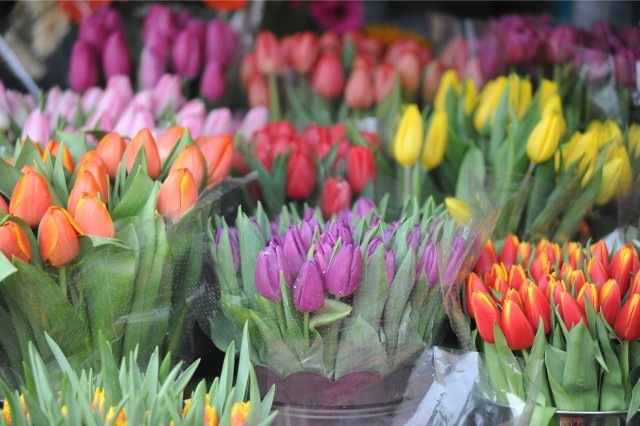 Przez to tulipany szybciej więdną! Co zrobić żeby tulipany stały dłużej? Takie są najlepsze domowe sposobyWiele osób chętnie wstawia tulipany do wazonu. Kwiaty cięte niestety dość krótko prezentują się estetycznie. Często już po kilku dniach nadają się do wyrzucenia. Istnieje kilka prostych trików, które warto zastosować, by przedłużyć trwałość tulipanów w wazonie.W jaki sposób dbać o cięte tulipany? Jak przedłużyć ich trwałość, by jak najdłużej cieszyły oko? Oto metody polecane przez florystów oraz ogrodników! Poznaj je teraz w naszej galerii >>>>>