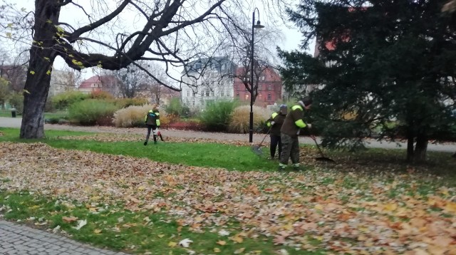 Mimo zakazu używania przez dmuchaw do liści na terenach miejskich, wykonawcy sprzątający promenadę Staromiejską korzystają z nich