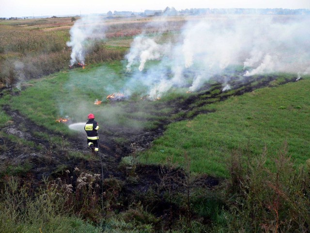 Strażacy w akcji gaszenia pożarów upraw rolnych.