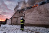 Krypno Kościelne. 11 zastępów gasiło duży pożar zabudowań gospodarczych. Zablokowana była droga wojewódzka 671 [ZDJĘCIA]