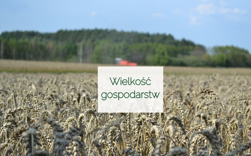 Spójrzmy na wielkość gospodarstw w regionie. Mamy w...