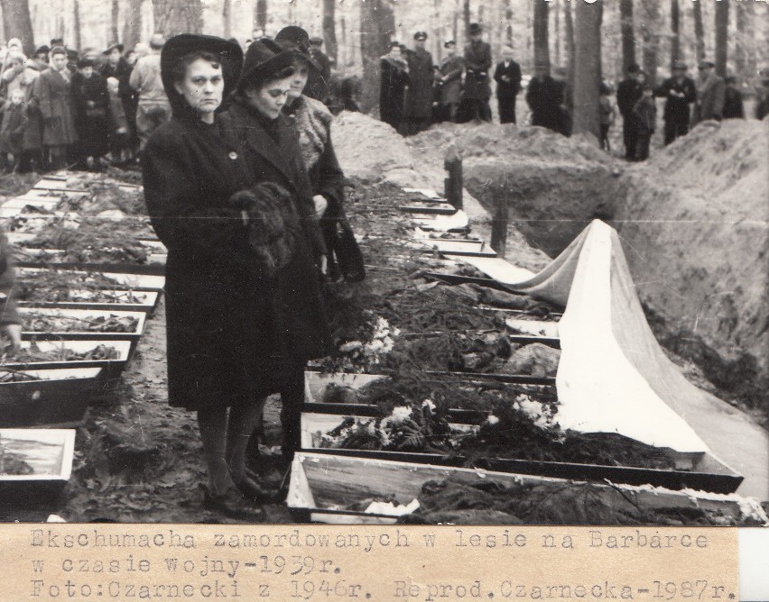 Zdjęcie z powojennej ekshumacji ofiar niemieckich mordów na...