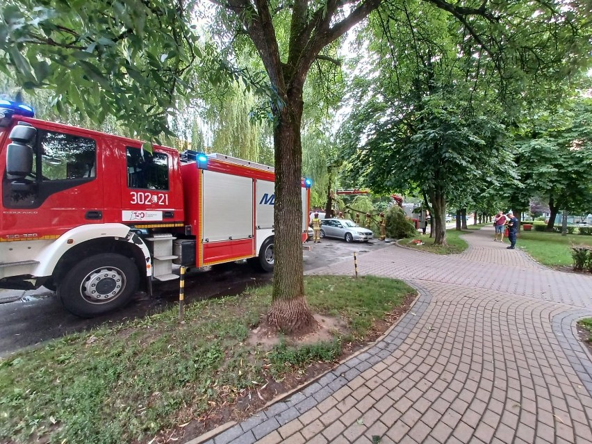 Burzowy bilans w Lublinie. Strażacy wyjeżdżali głównie do powalonych drzew