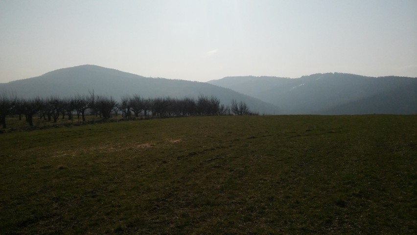 Góra Plebańska - to tu miałby powstać eko park