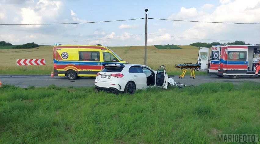 Wypadek śmiertelny na DW 424 w Malni.