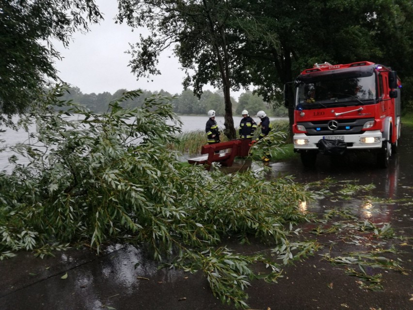 Dzisiaj (wtorek) w wyniku silnego wiatru na drogę w Piasznie...