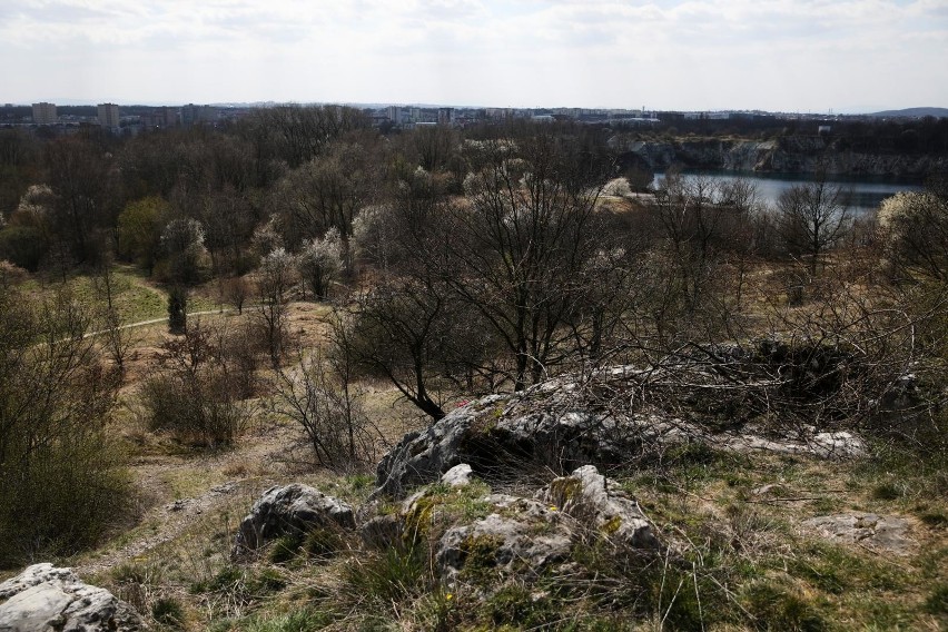 Zakrzówek i jego okolice