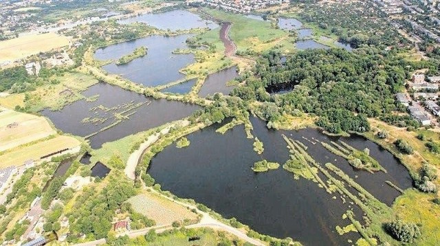 Poznaniacy chwalą malownicze krajobrazy wokół glinianek. Doceniają obecność ptaków i ryb, narzekają natomiast na kierowców, którzy rozjeżdżają Szachty samochodami i quadami