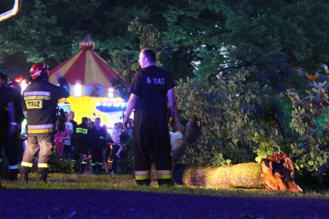 Do wypadku doszło po godz. 21 w parku w Strzelcach Opolskich.