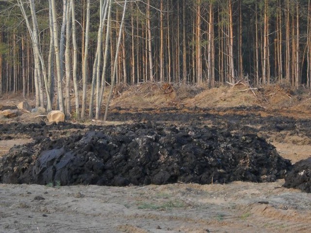 Odpady, które wywieziono w pobliżu miejscowości Rogożek wydzielają nieprzyjemny zapach.