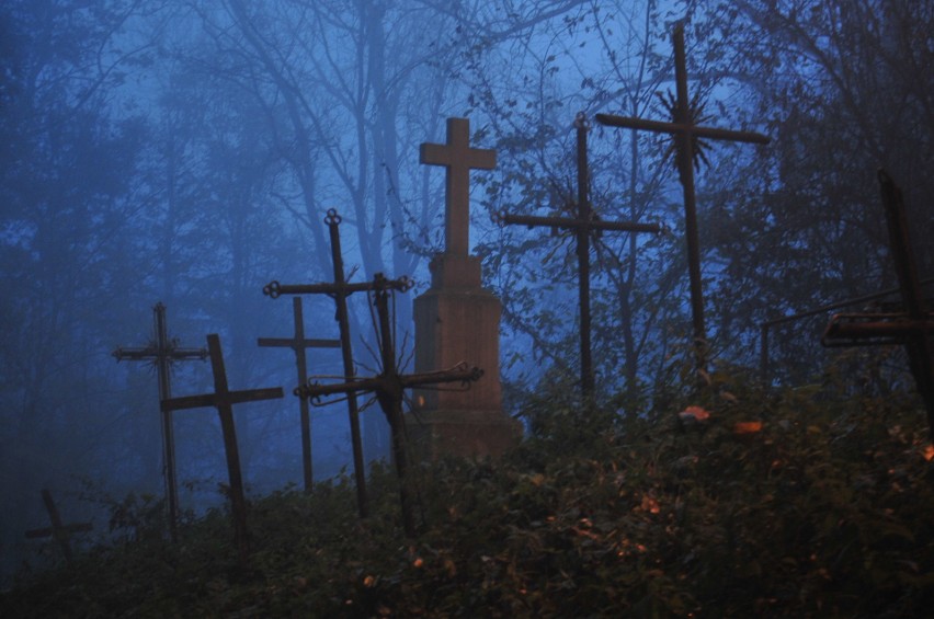 Kraków. Zapomniany, niesamowity cmentarz. Tu rośnie las krzyży niechcianych [ZDJĘCIA]