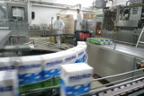 Pomorze: Producenci mleka apelują do ministra rolnictwa o pomoc