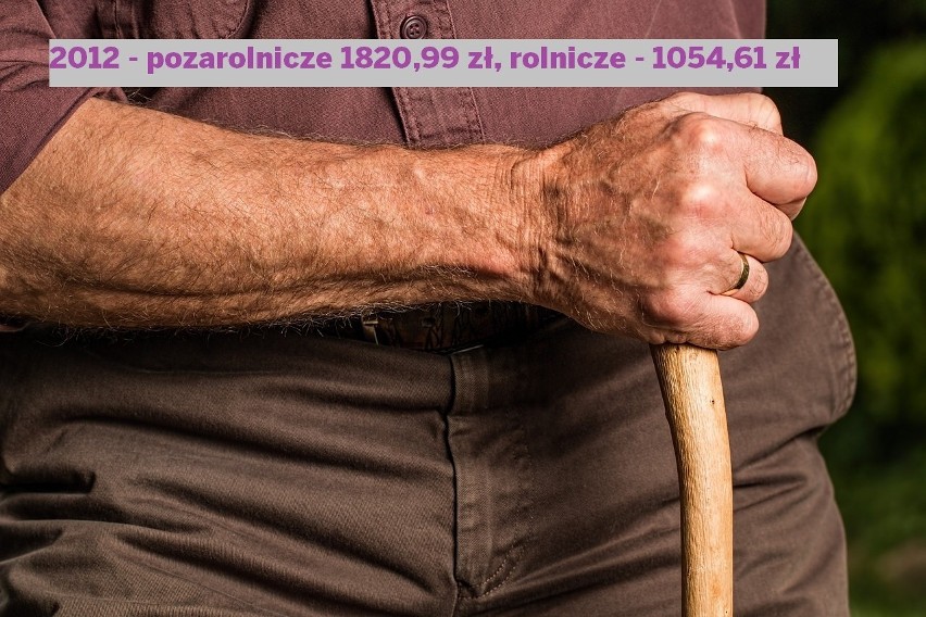 Przeciętna emerytura w Polsce - ile wynosi ta rolnicza w porównaniu z pozarolniczą?