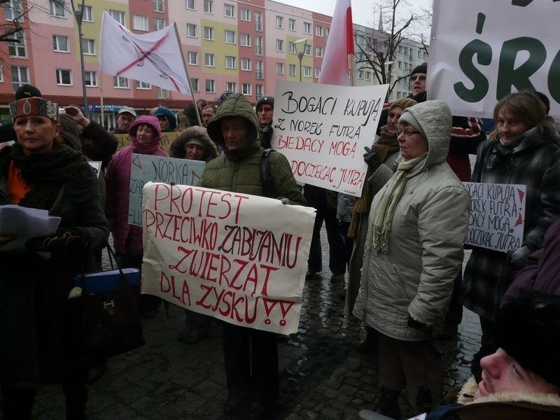 Protest w Stargardzie przeciwko fermie norek