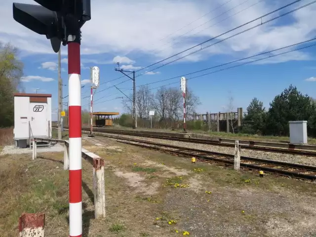 Zaproponowany przez Centralny Port Komunikacyjny  przebieg Szprychy 6 w regionie Czwórmiasta zakłada, że na linii kolejowej 25, na północ od Sandomierza, rozpocznie bieg nowa linia kolejowa, omijająca od północnego wschodu Sandomierz i Tarnobrzeg, i kierująca się w kierunku Zbydniowa,