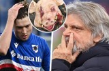 Sampdoria Genua w strachu. Szefowie klubu dostają śmiertelne groźby za pogrążenie drużyny w kryzysie