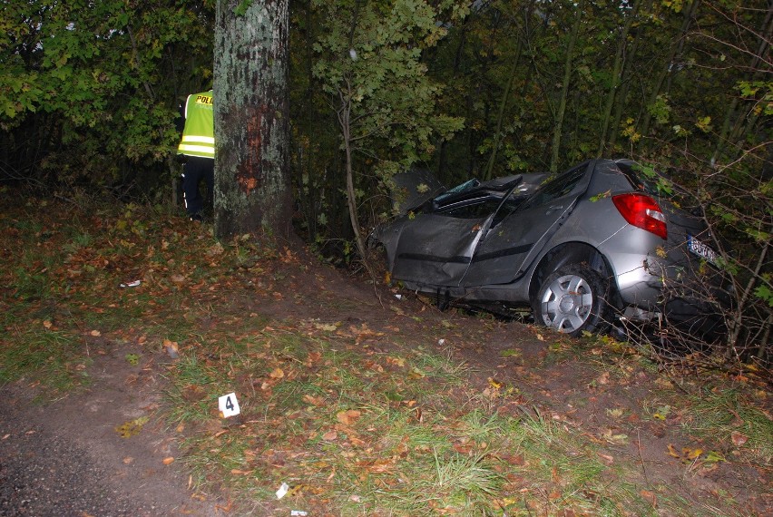 Wypadek w Szumlesiu Szlacheckim [ZDJĘCIA]