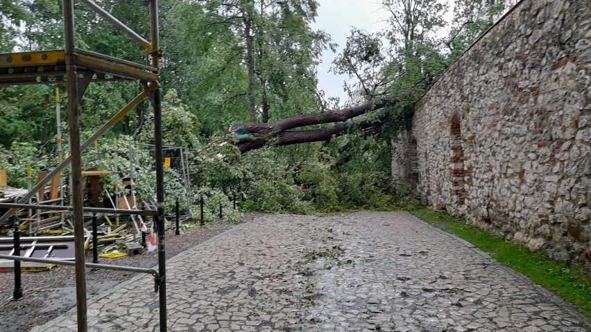 Kraków. Nawałnica powaliła lipy zasadzone w 1780 roku w tynieckim Opactwie