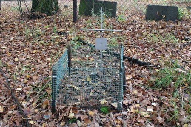 Nielegalny cmentarz dla zwierząt, w niezamieszkanej części Głogowa