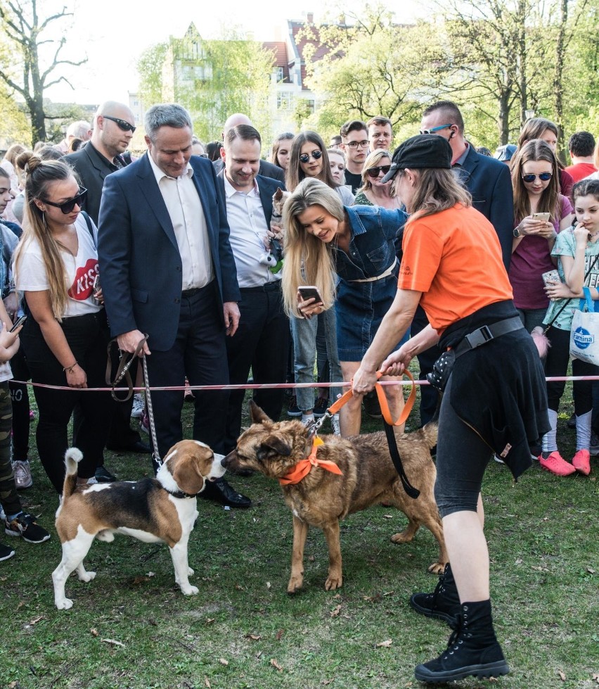 Dziś w parku Jana Kochanowskiego Joanna Krupa, aktorka,...