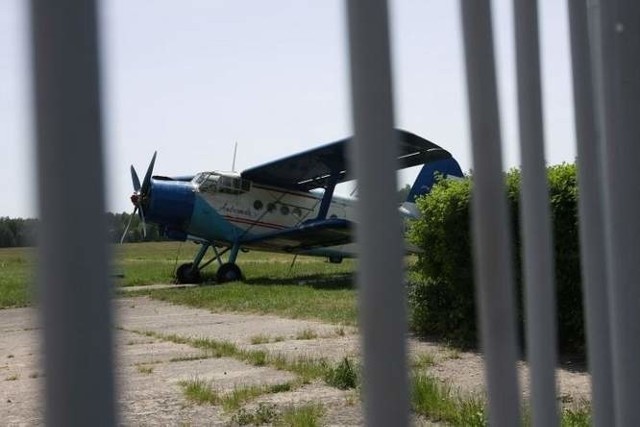 Były dyrektor Aeroklubu Białostockiego odpowiada za nielegalną wycinkę drzew w pobliżu lotniska na Krywlanach