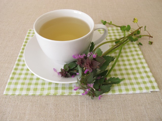 Napar z jasnoty purpurowej łagodzi objawy przeziębienia i wzmacnia organizm.