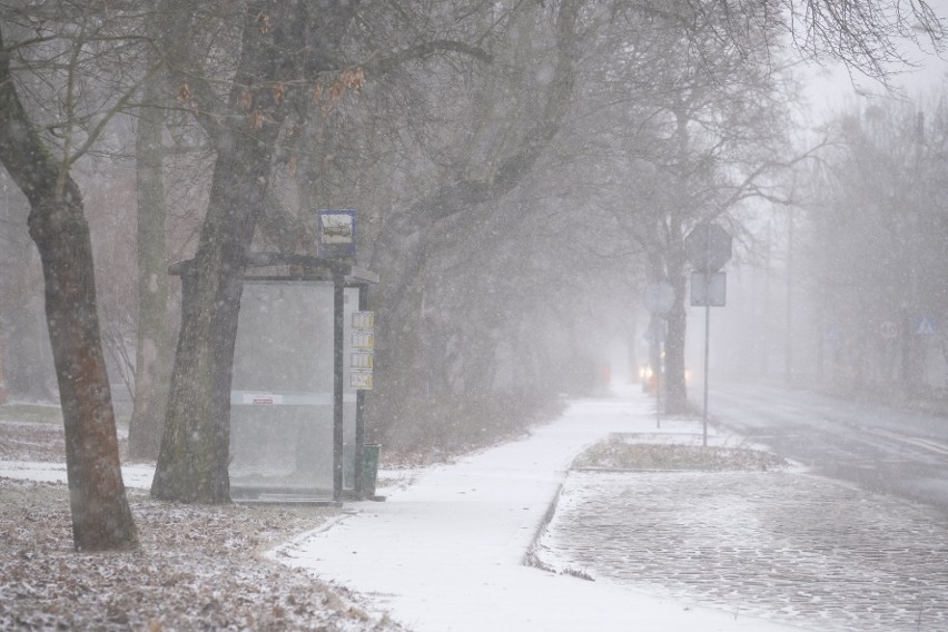 Do Torunia znowu zawitała dziś (20.01) prawdziwa zima....