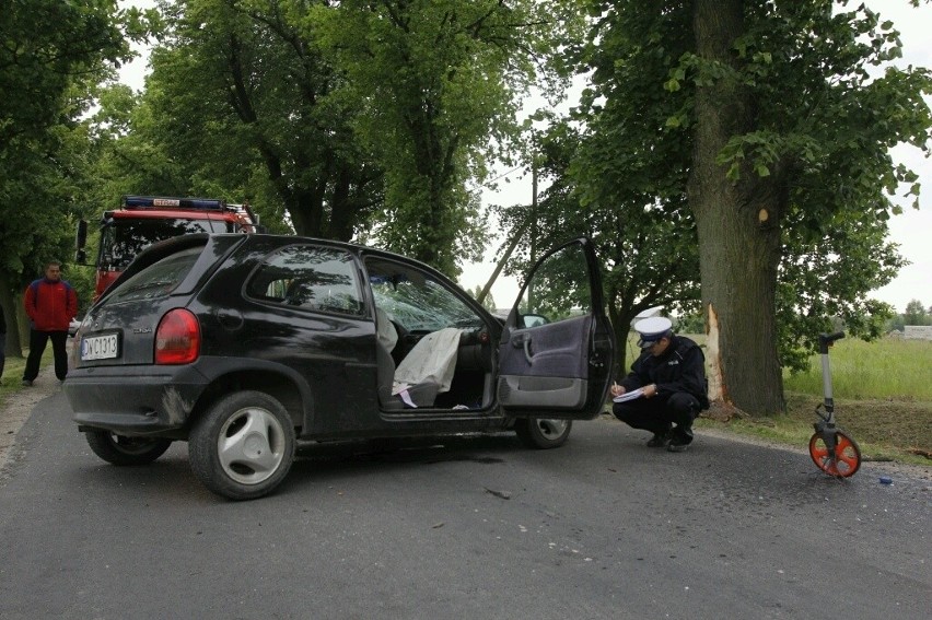 Wrocław: Wypadek na Dolnobrzeskiej. Kobieta wjechała w drzewo (ZDJĘCIA)