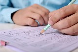 Egzamin ósmoklasisty 2020 w gminach powiatu niżańskiego - wyniki. Najlepiej w Nisku i Krzeszowie, najgorzej Jarocin i Jeżowe [LISTA]