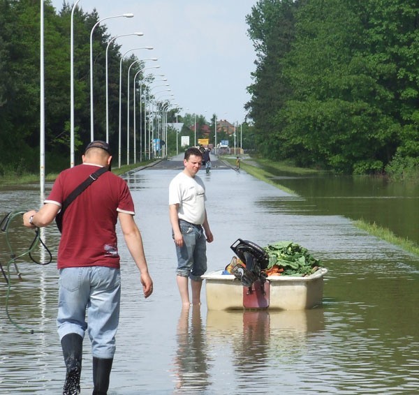 Jeszcze kilka dni temu najkrótsza droga z Tarnobrzega do Sandomierza była zalana.