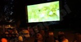 Kino plenerowe i wystawa  z kulturą duńską w tle w Baranowie Sandomierskim