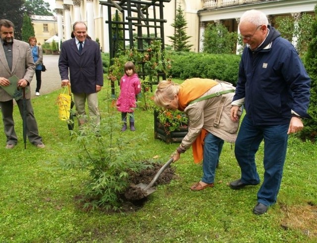 Henryk Kuźniak z żoną Krystyną wsadzili swoje drzewo w Alei Gwiazd.