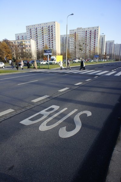 Do istniejących buspasów w Poznaniu wkrótce dojdą nowe