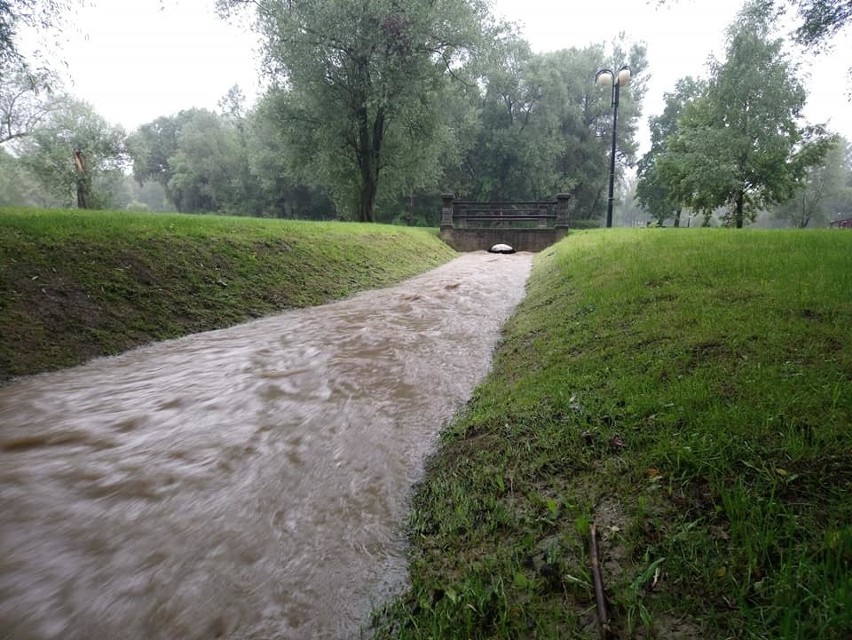 Skawinka przekroczyła stany alarmowe. Gdy przestaje padać jest tendencja spadkowa