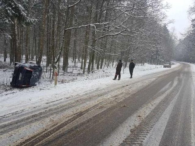 Trasa Białowieża - Hajnówka, około godziny 11