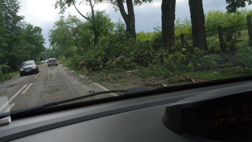 Burza trwała siedem minut, a krajobraz po jej przejściu...