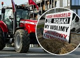 Transparenty rolników wbijają w fotel! Zobaczcie najciekawsze hasła protestujących w Kielcach