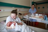 Fototapeta z noworodków urodzonych w Piekarach pojawi się we wnętrzach szpitala