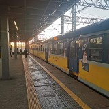 Gdańsk: uszkodzona sieć trakcyjna na odcinku Gdańsk Wrzeszcz - Gdańsk Oliwa 17.01.2022
