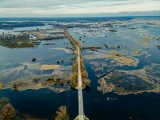 Osowiec, Goniądz i rozlewiska Biebrzy to magiczne miejsca na Podlasiu. Tak wyglądają skarby Biebrzańskiego Parku Narodowego wczesną wiosną