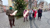 Akcja "Dobro z Natury" na zielonogórskim deptaku. U nas choinki nie trafiają do śmietnika, ale zyskują drugie... artystyczne życie!